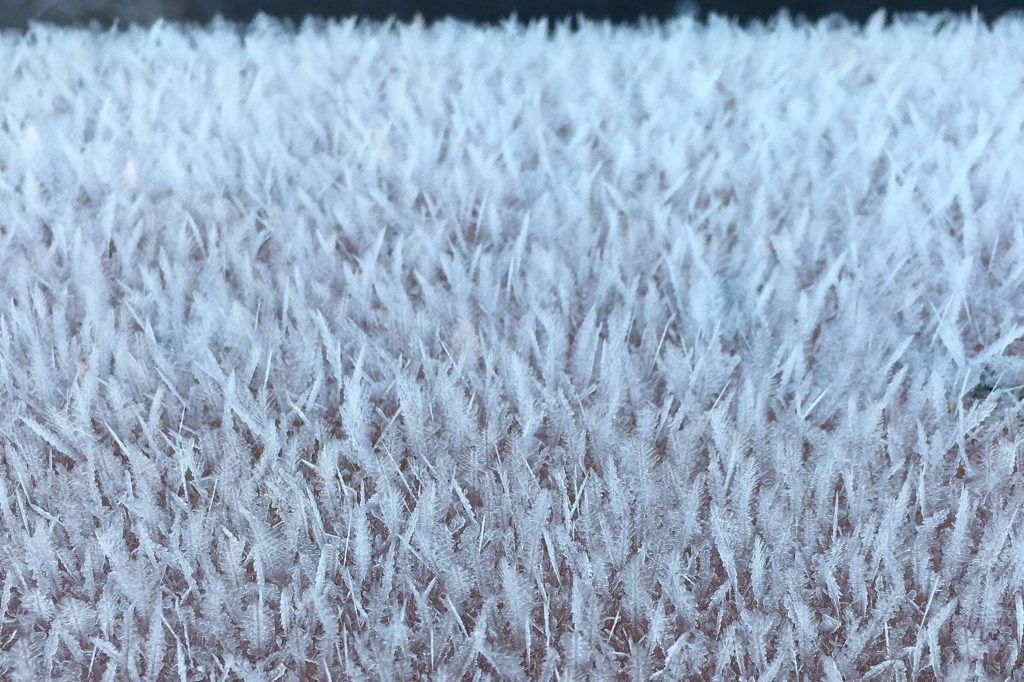 Kylmä kuin oikeiston&nbsp;sydän