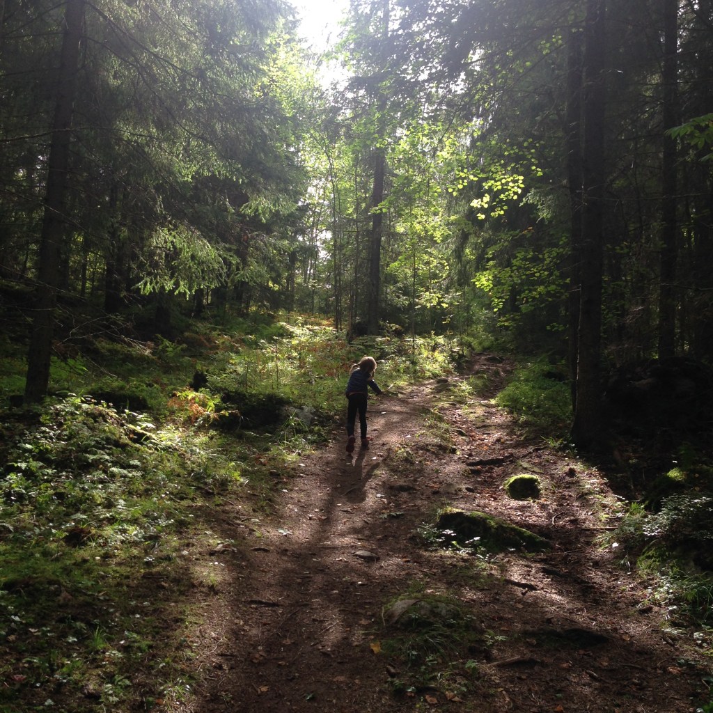 Puolustamisen arvoinen tulevaisuus